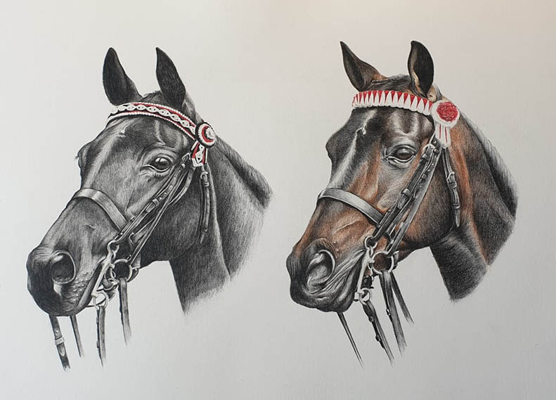 Cassie James Horse Drawing